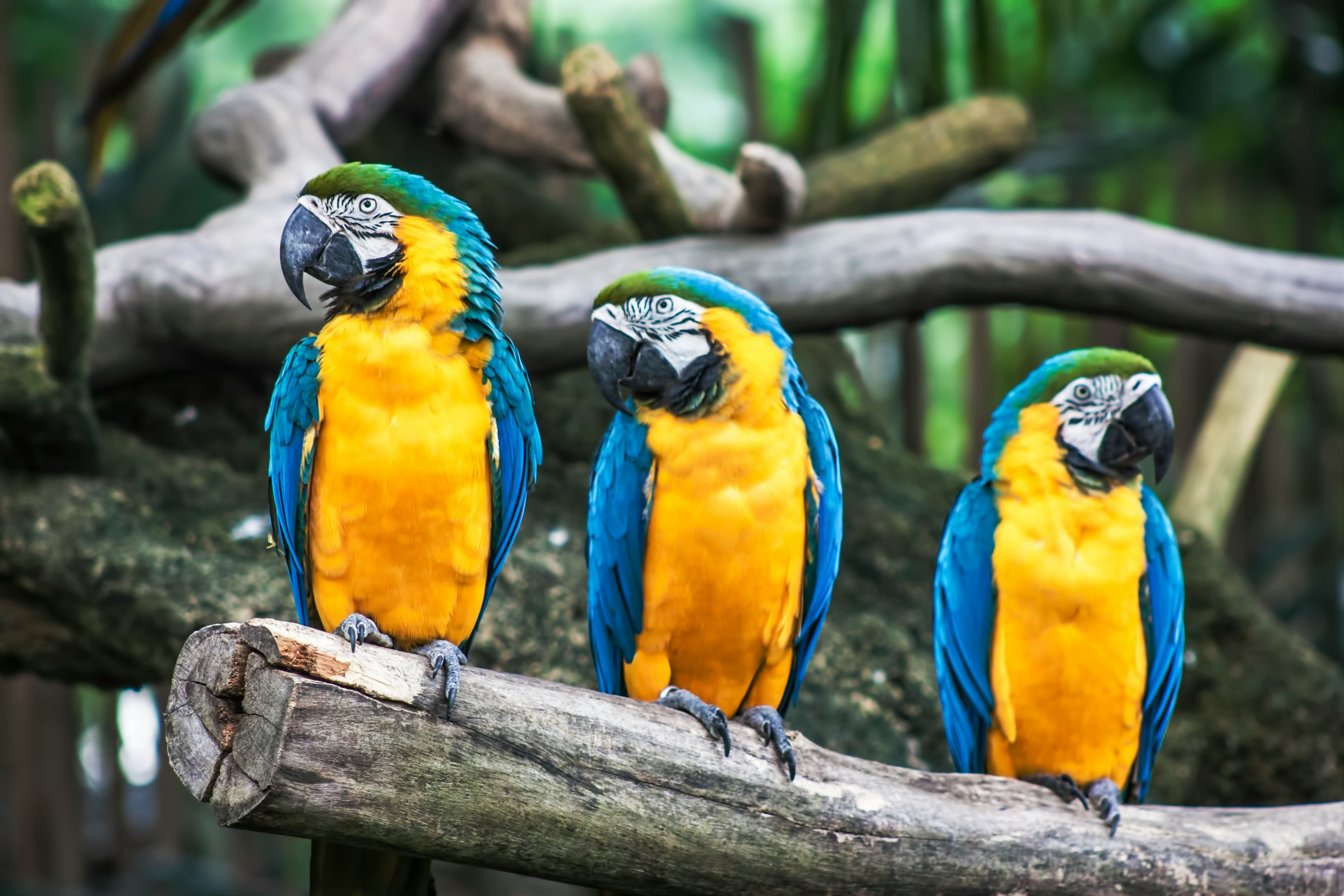 Suggested Referrals, Automated Email Links and more 